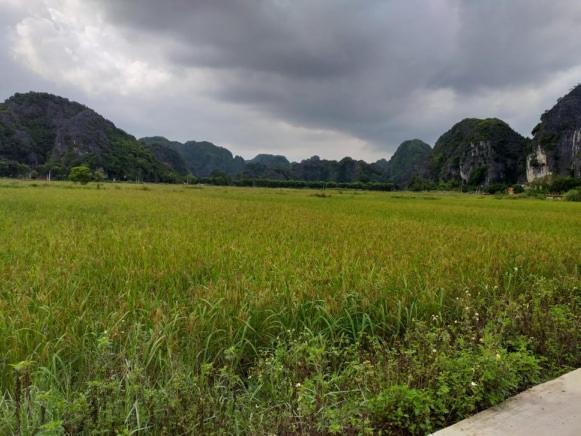 Tam Coc Riverside Homestay Ninh Binh Luaran gambar